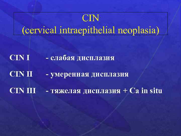 CIN (cervical intraepithelial neoplasia) CIN I - слабая дисплазия CIN II - умеренная дисплазия