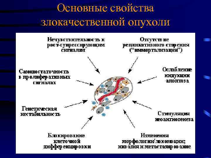 Основные свойства злокачественной опухоли 