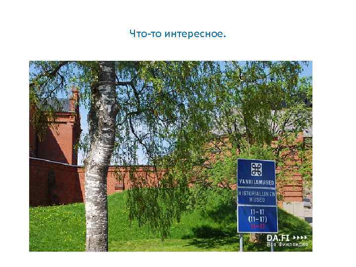 Что-то интересное. 