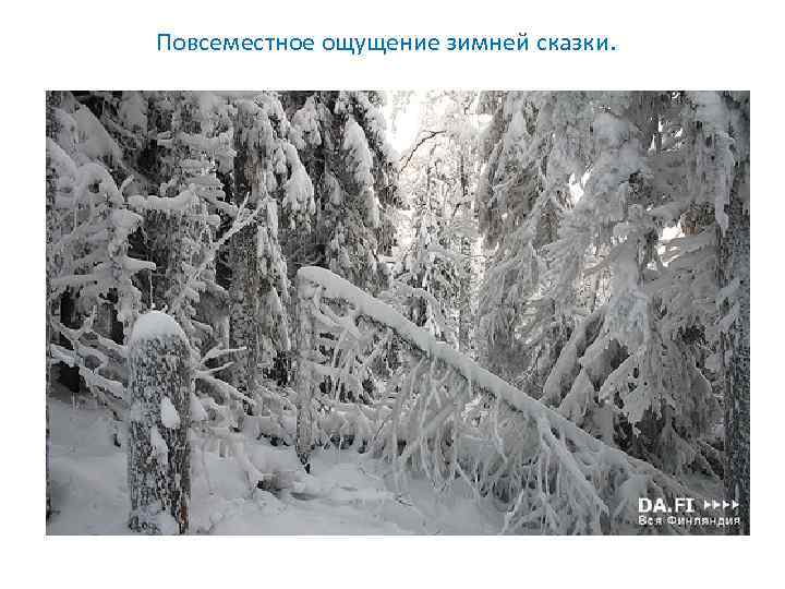 Повсеместное ощущение зимней сказки. 