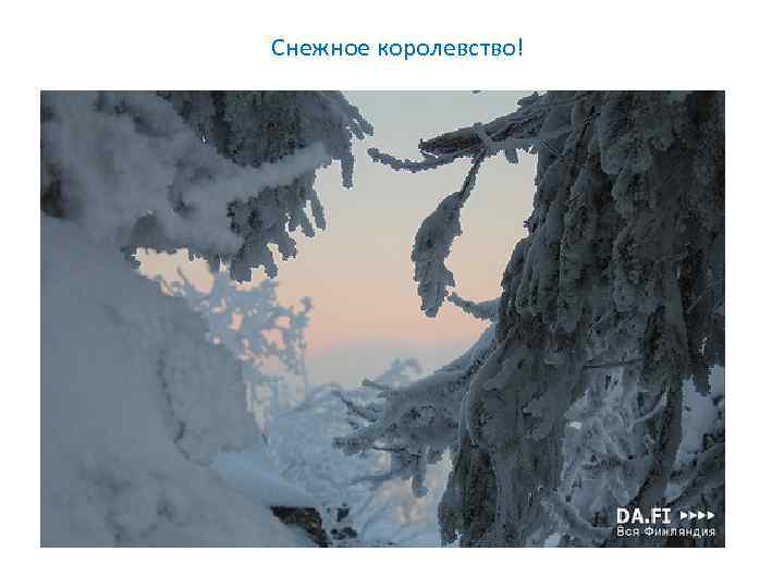 Снежное королевство! 