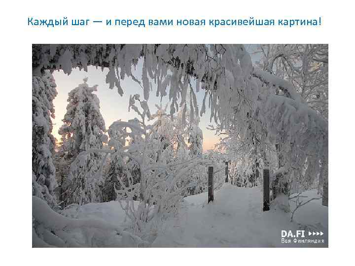 Каждый шаг — и перед вами новая красивейшая картина! 
