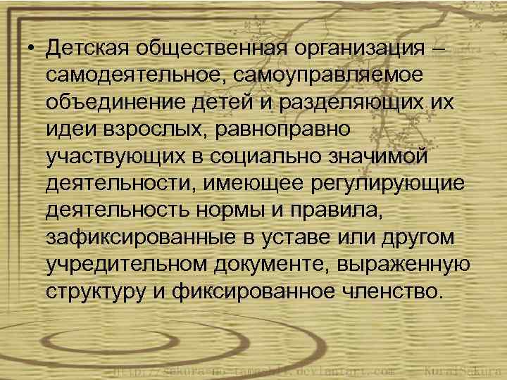  • Детская общественная организация – самодеятельное, самоуправляемое объединение детей и разделяющих их идеи