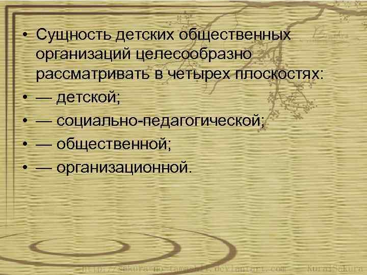  • Сущность детских общественных организаций целесообразно рассматривать в четырех плоскостях: • — детской;