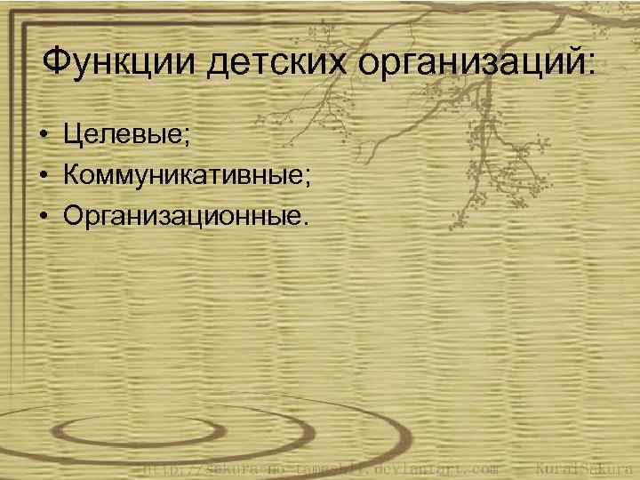 Функции детских организаций: • Целевые; • Коммуникативные; • Организационные. 