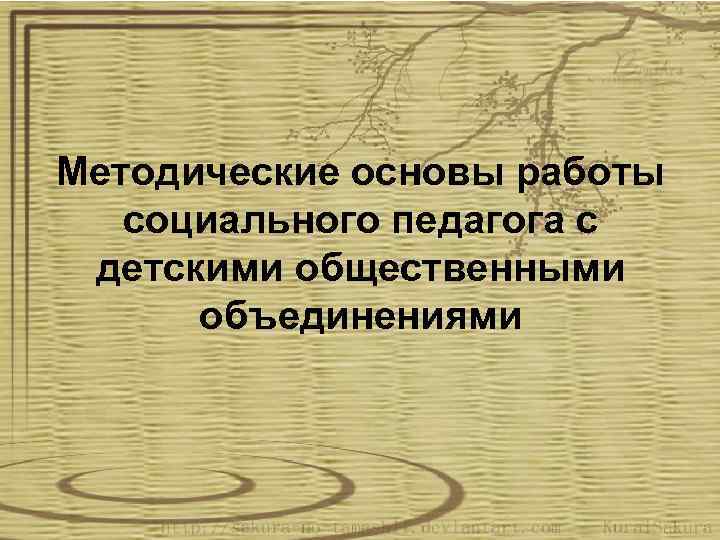 Методические основы работы социального педагога с детскими общественными объединениями 