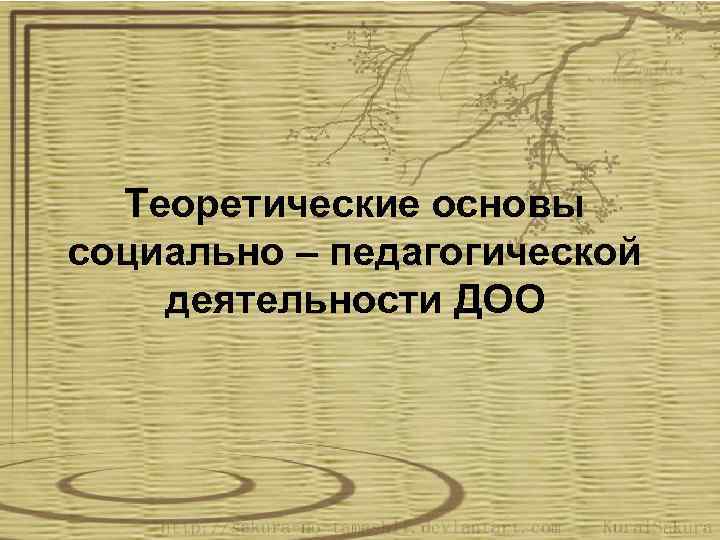 Теоретические основы социально – педагогической деятельности ДОО 