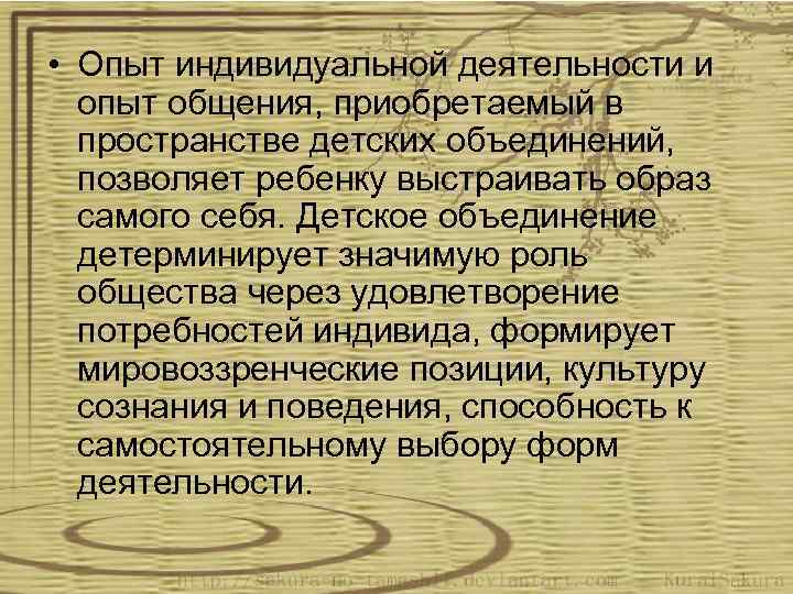  • Опыт индивидуальной деятельности и опыт общения, приобретаемый в пространстве детских объединений, позволяет