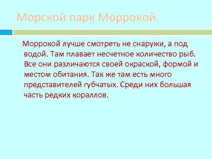 Морской парк Моррокой лучше смотреть не снаружи, а под водой. Там плавает несчетное количество