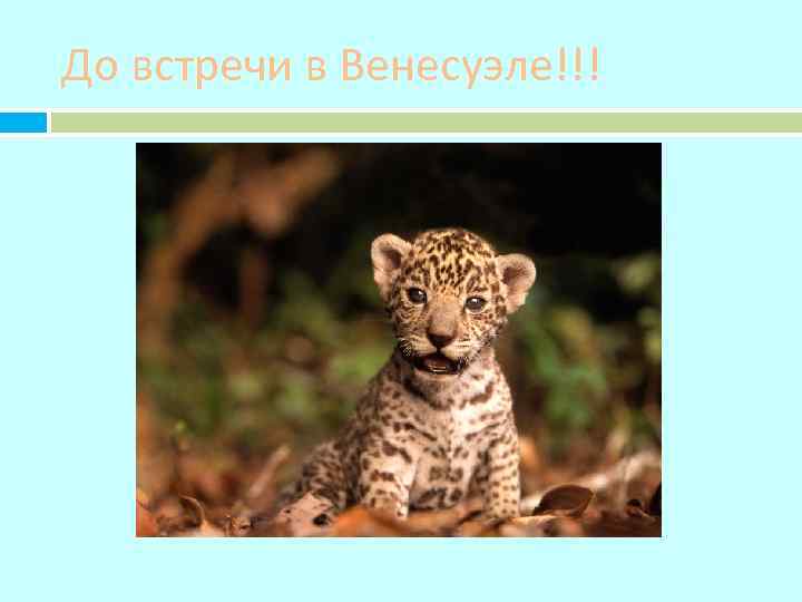 До встречи в Венесуэле!!! 