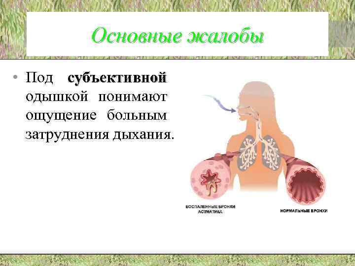Основные жалобы • Под субъективной одышкой понимают ощущение больным затруднения дыхания. 