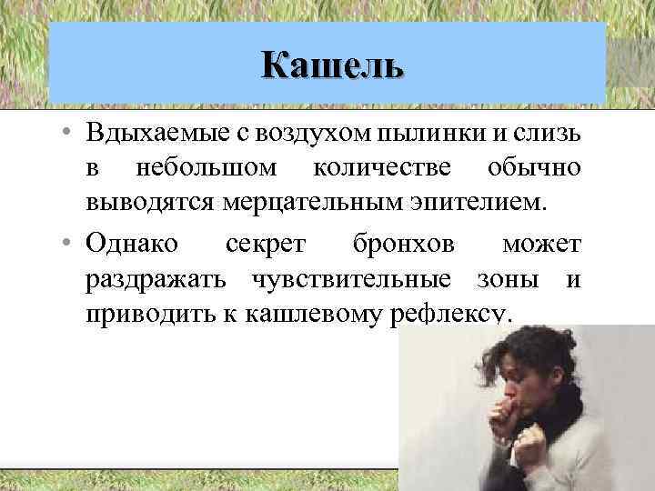Кашель • Вдыхаемые с воздухом пылинки и слизь в небольшом количестве обычно выводятся мерцательным