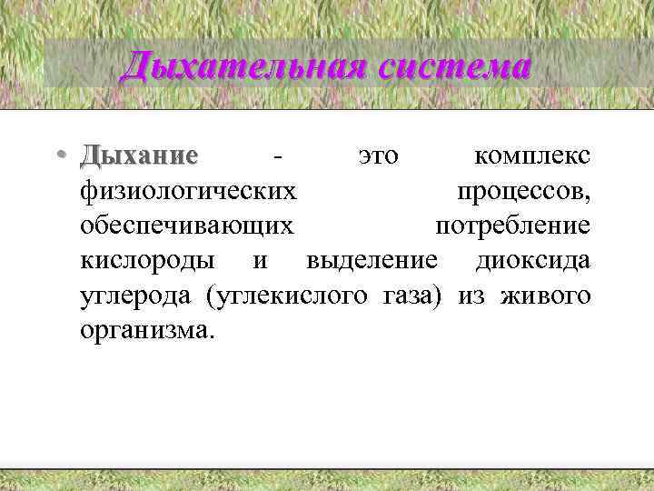 Дыхательная система • Дыхание это комплекс физиологических процессов, обеспечивающих потребление кислороды и выделение диоксида