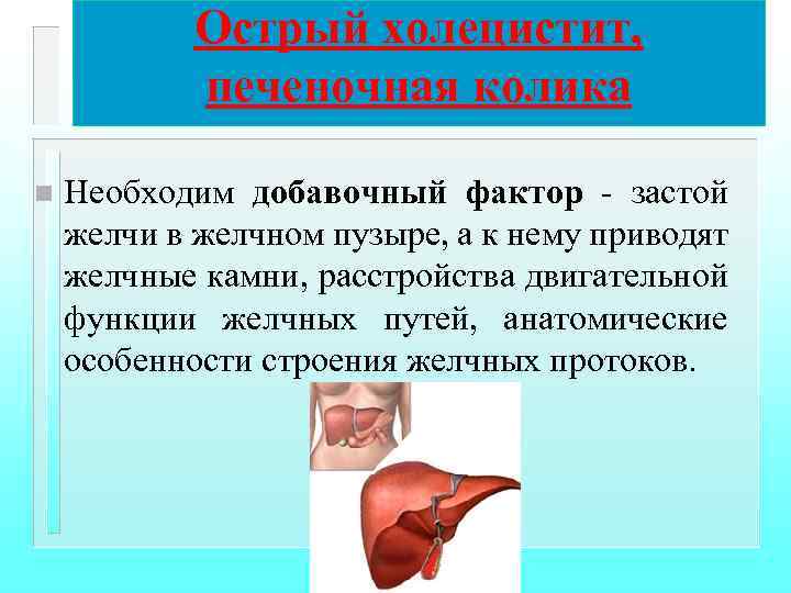 Острый холецистит, печеночная колика n Необходим добавочный фактор - застой желчи в желчном пузыре,