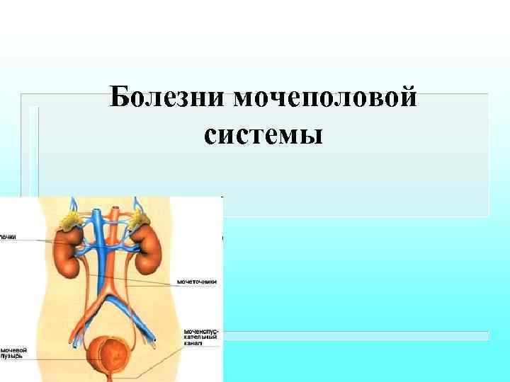 Болезни мочеполовой системы 