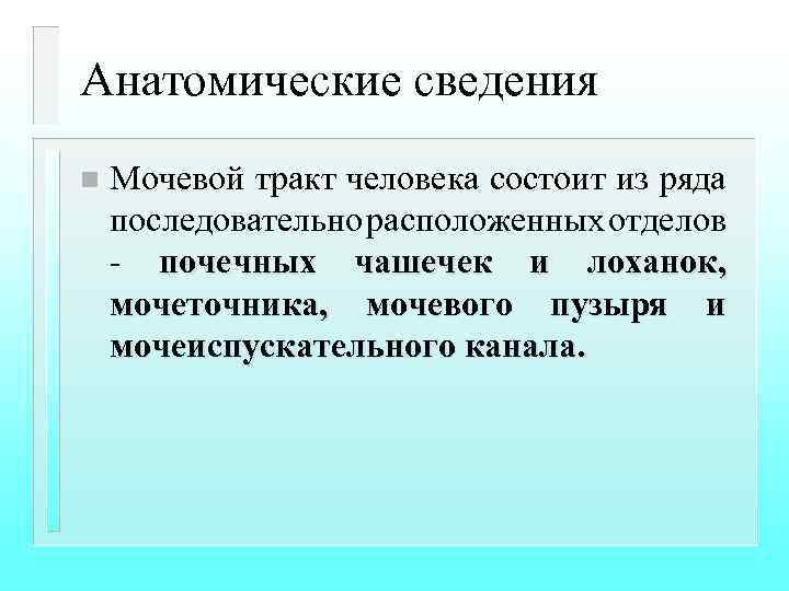 Анатомические сведения n Мочевой тракт человека состоит из ряда последовательно расположенных отделов - почечных