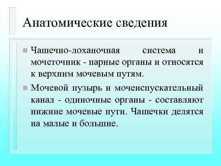 Анатомические сведения Чашечно-лоханочная система и мочеточник - парные органы и относятся к верхним мочевым