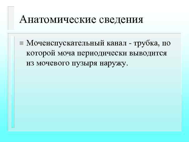 Анатомические сведения n Мочеиспускательный канал - трубка, по которой моча периодически выводится из мочевого