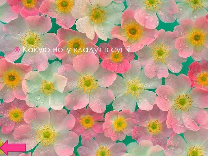  Какую ноту кладут в суп? 