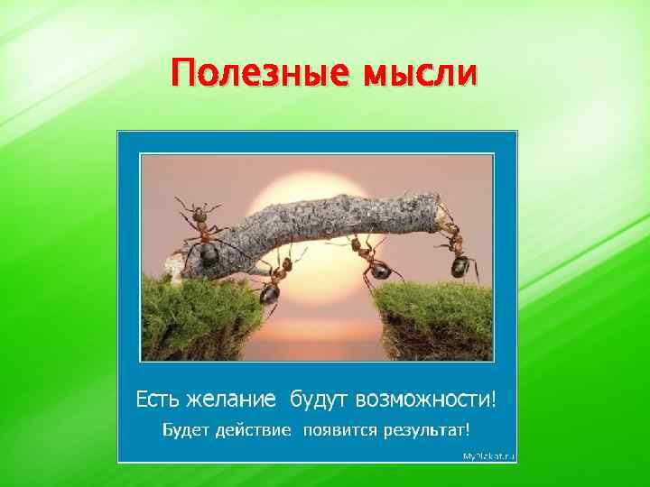 Полезные мысли 