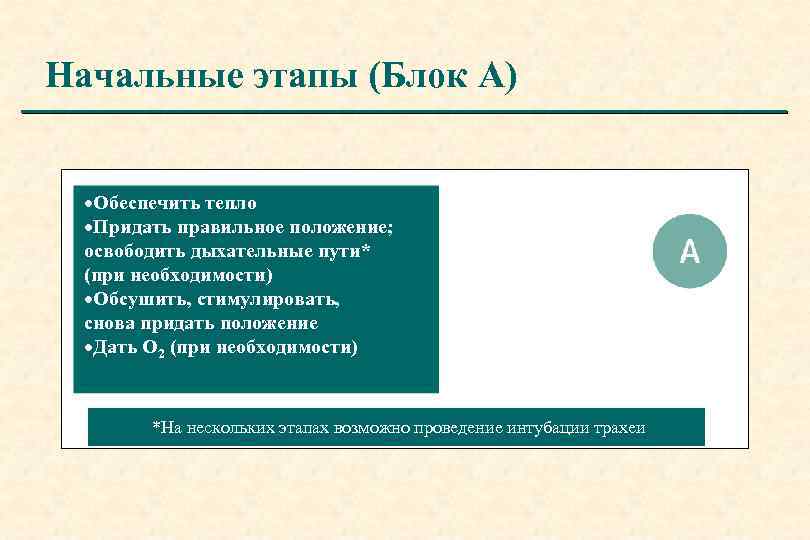 Начальные этапы (Блок A) ·Обеспечить тепло ·Придать правильное положение; освободить дыхательные пути* (при необходимости)