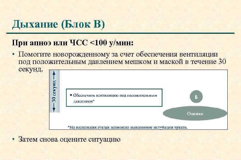 Дыхание (Блок B) При апноэ или ЧСС <100 у/мин: • Помогите новорожденному за счет