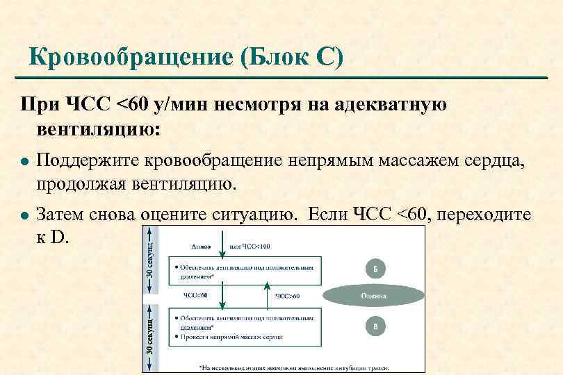 Кровообращение (Блок C) При ЧСС <60 у/мин несмотря на адекватную вентиляцию: l Поддержите кровообращение