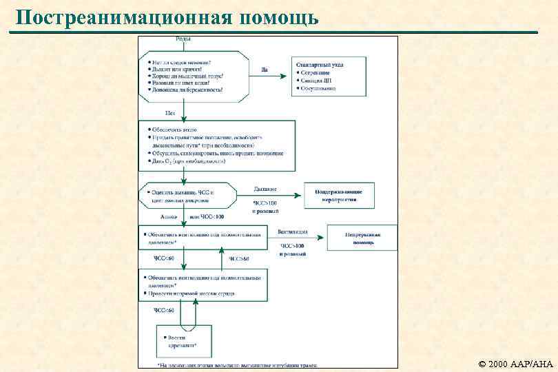 Вкладыш карта реанимации и стабилизации состояния новорожденных детей в родильном зале