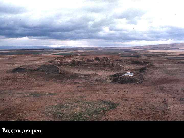 Вид на дворец 