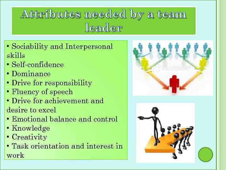 Attributes needed by a team leader • Sociability and Interpersonal skills • Self-confidence •
