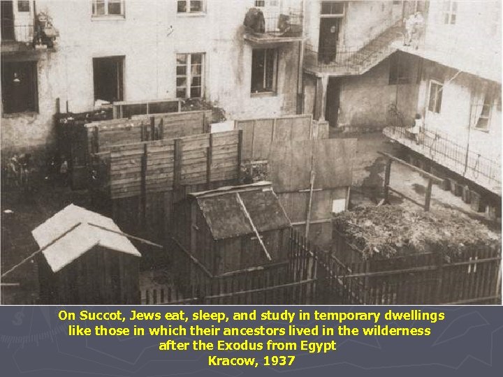 On Succot, Jews eat, sleep, and study in temporary dwellings like those in which
