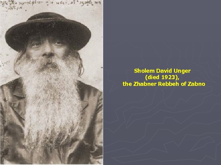 Sholem David Unger (died 1923), the Zhabner Rebbeh of Zabno 