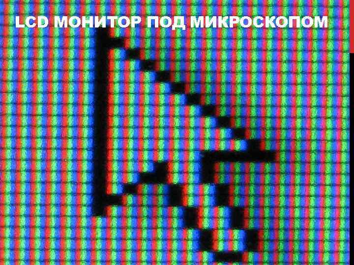 LCD МОНИТОР ПОД МИКРОСКОПОМ 