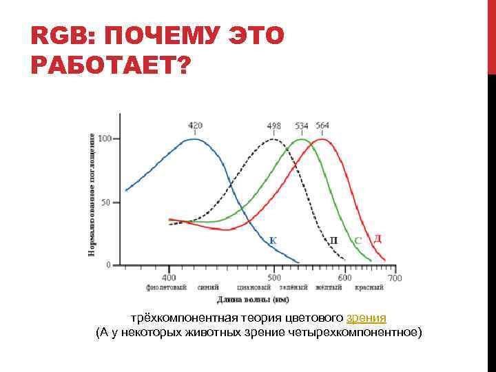 Теории зрения. Трехкомпонентная теория цветоощущения. Трехкомпонентная теория цветового зрения. Трехкомпонентная теория цветового зрения физиология. Трехкомпонентная трехцветная теория цветового зрения.