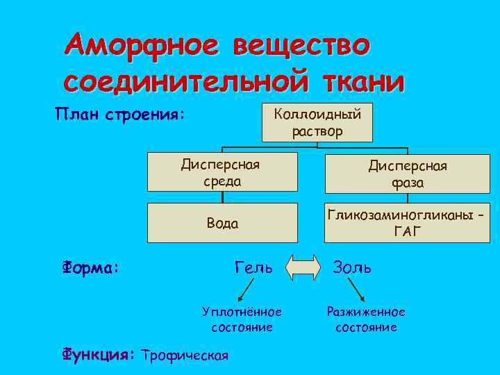 Соединительное вещество