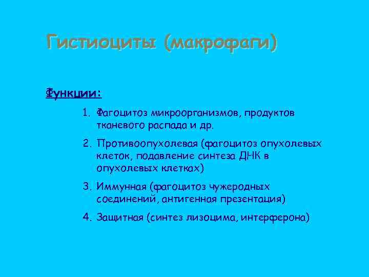 Гистиоциты (макрофаги) Функции: 1. Фагоцитоз микроорганизмов, продуктов тканевого распада и др. 2. Противоопухолевая (фагоцитоз