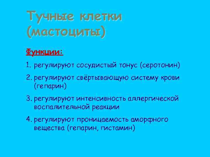 Тучные клетки (мастоциты) Функции: 1. регулируют сосудистый тонус (серотонин) 2. регулируют свёртывающую систему крови
