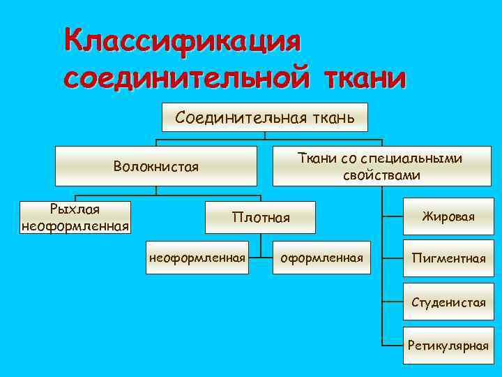 Классификация соединительной ткани. Классификация собственно соединительной ткани. Соединительные ткани ткани классификация. Соединительная ткань со специальными свойствами таблица.