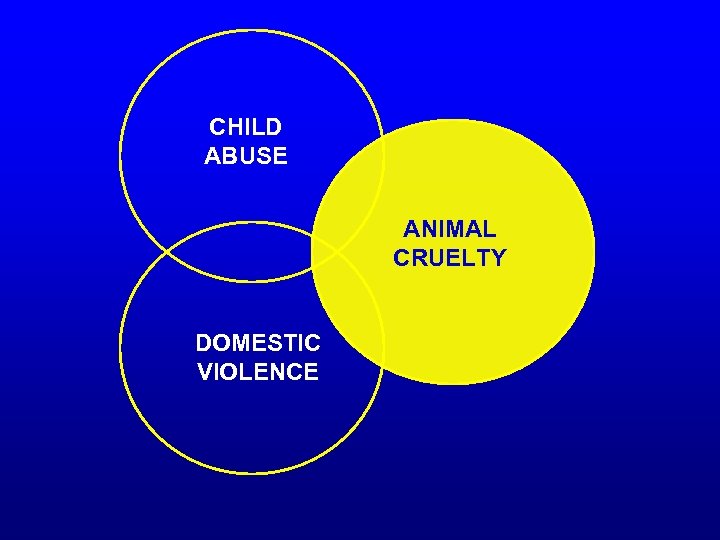 CHILD ABUSE ANIMAL CRUELTY DOMESTIC VIOLENCE 