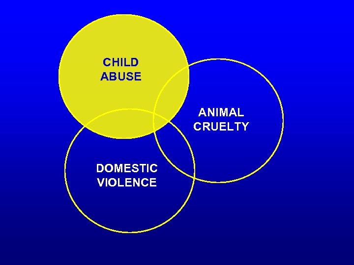 CHILD ABUSE ANIMAL CRUELTY DOMESTIC VIOLENCE 