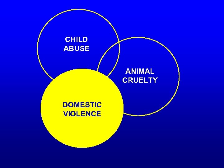 CHILD ABUSE ANIMAL CRUELTY DOMESTIC VIOLENCE 