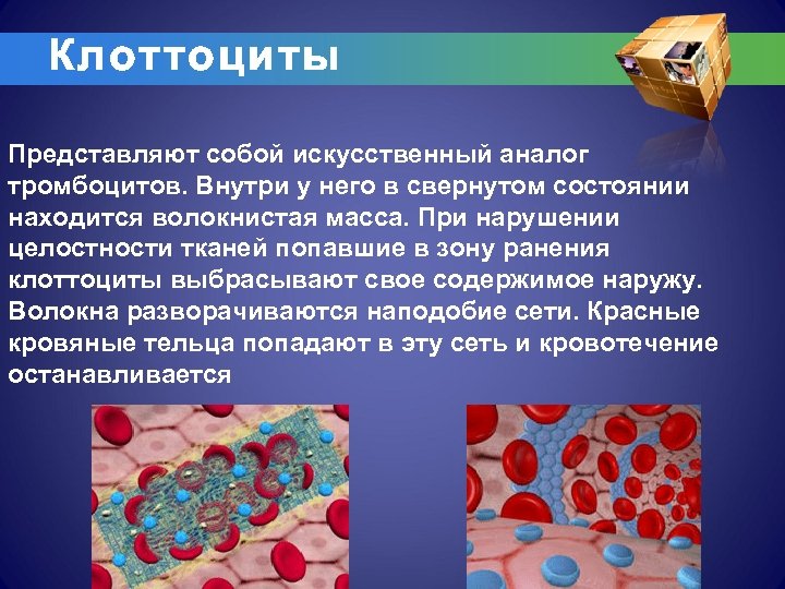 Клоттоциты Представляют собой искусственный аналог тромбоцитов. Внутри у него в свернутом состоянии находится волокнистая