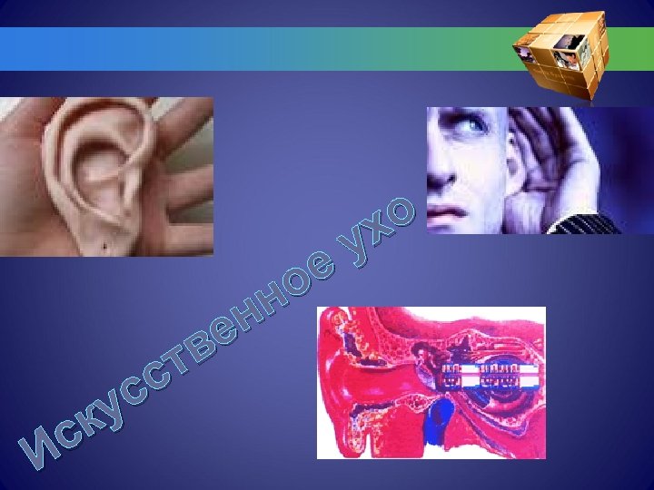 о х у е о н н е в т с с ку с