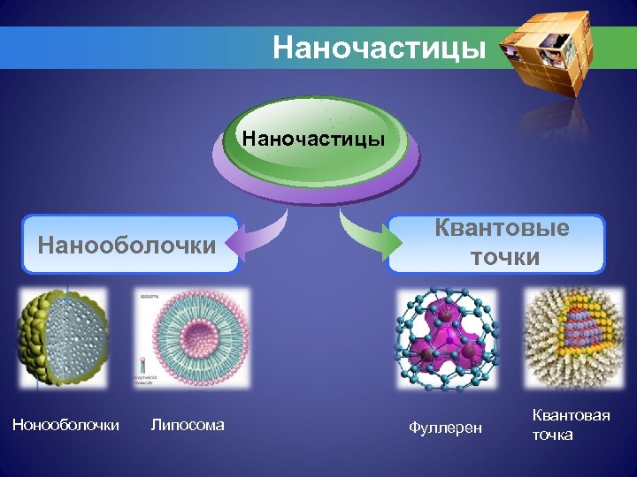 Наночастицы Нанооболочки Нонооболочки Липосома Квантовые точки Фуллерен Квантовая точка 