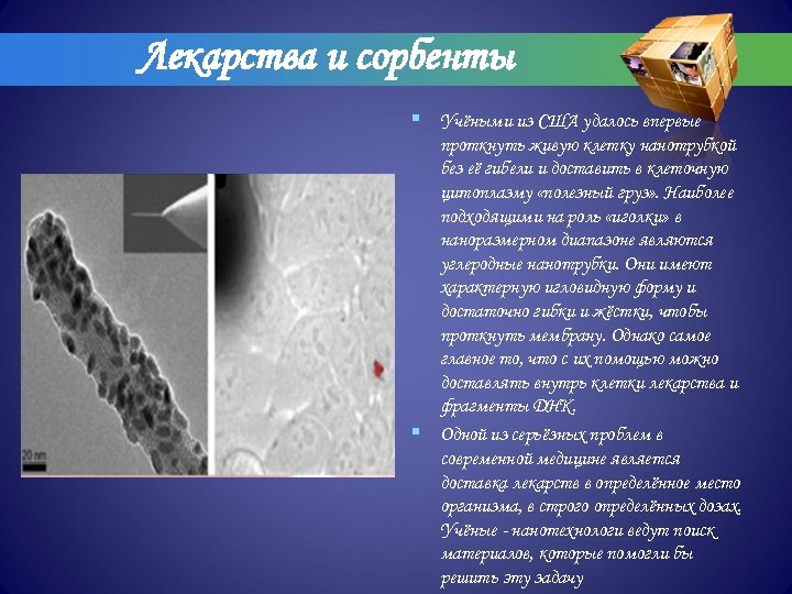 Лекарства и сорбенты § Учёными из США удалось впервые проткнуть живую клетку нанотрубкой без