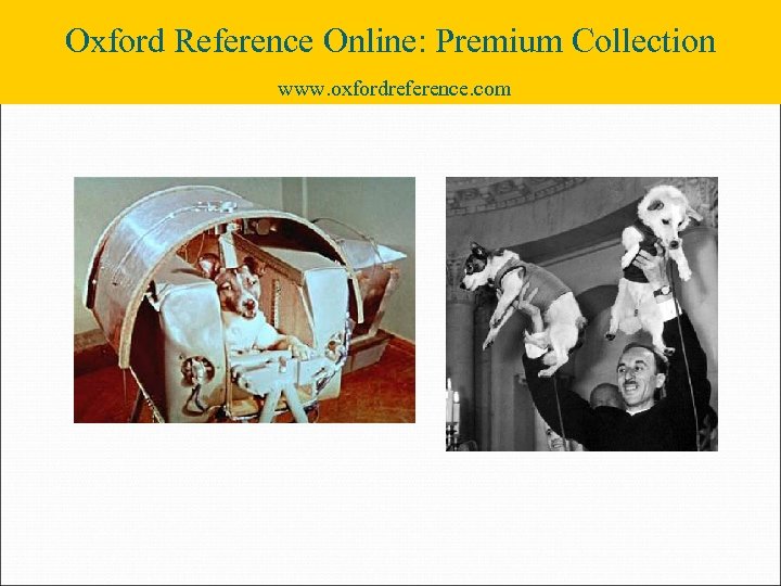 Oxford Reference Online: Premium Collection www. oxfordreference. com 