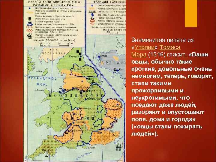 Знаменитая цитата из «Утопии» Томаса Мора (1516) гласит: «Ваши овцы, обычно такие кроткие, довольные