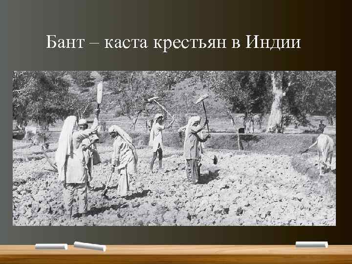 Бант – каста крестьян в Индии 