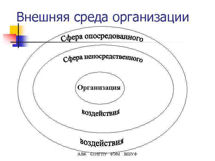 Внешняя среда организации Организация АВК СПб. ГПУ ФЭМ ВШУФ 