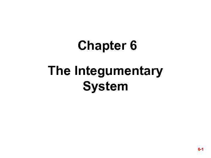 Chapter 6 The Integumentary System 6 -1 